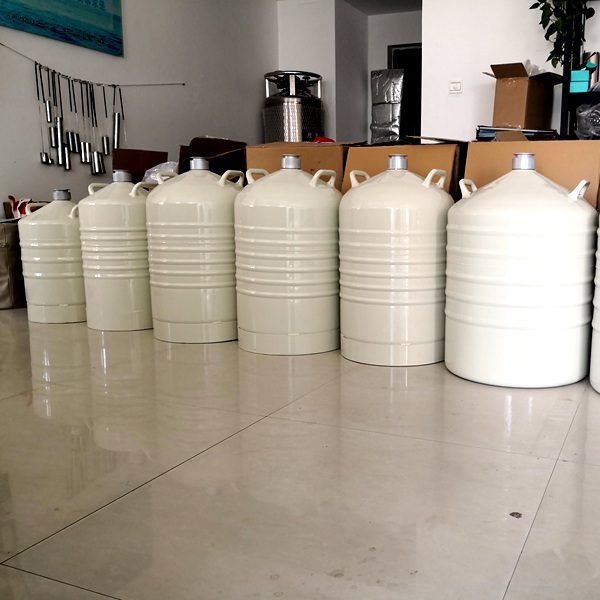 Customized liquid nitrogen container Customized liquid nitrogen container